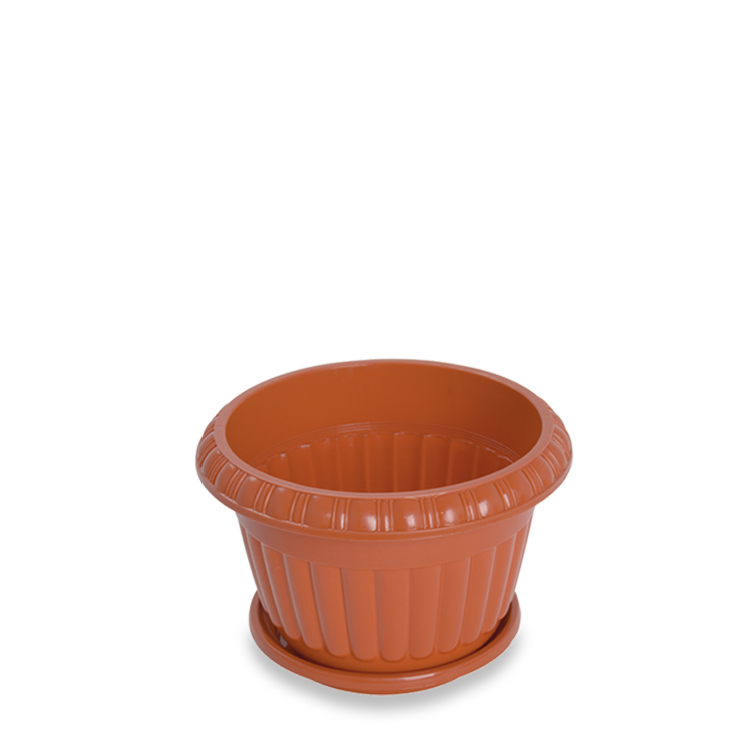 Senwell product